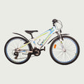 24.732 - BikeFlip
