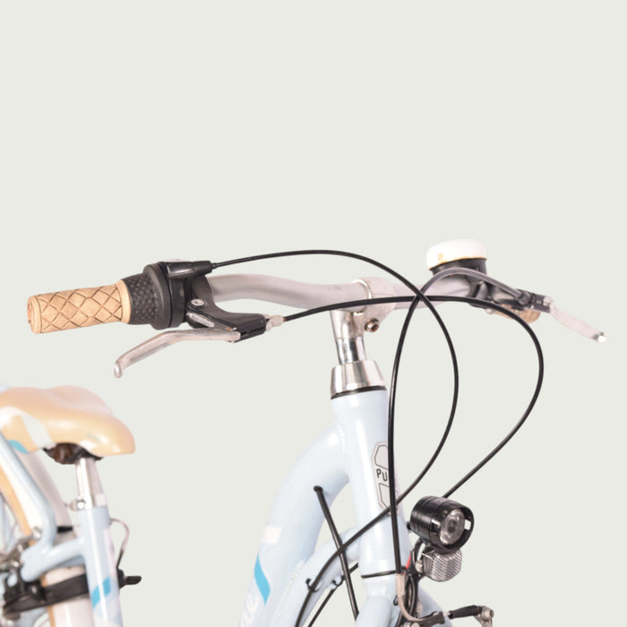 24.876 - BikeFlip