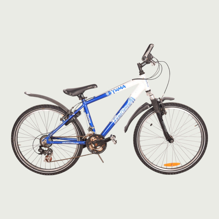24.881 - BikeFlip