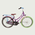 24.969 - BikeFlip