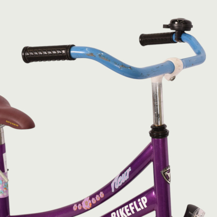 24.969 - BikeFlip