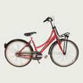 26.1029 - BikeFlip