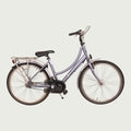 26.1049 - BikeFlip