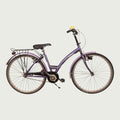 26.1053 - BikeFlip