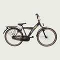 26.1081 - BikeFlip