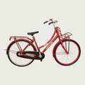 26.1104 - BikeFlip