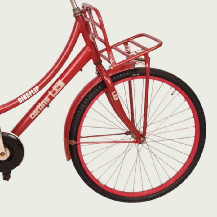 26.1104 - BikeFlip