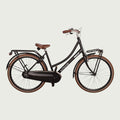 26.1147P - BikeFlip