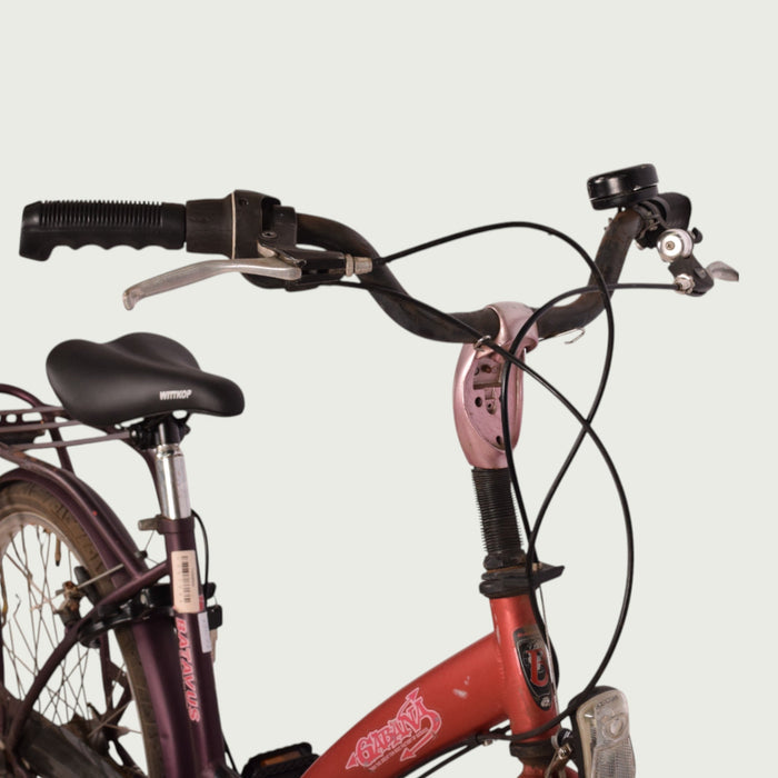 26.1169 - BikeFlip