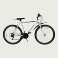 26.162 - BikeFlip