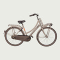 26.1902 kinderfiets - BikeFlip