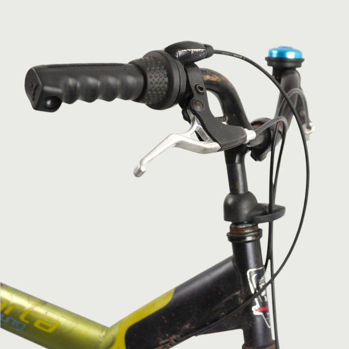 26.204 - BikeFlip