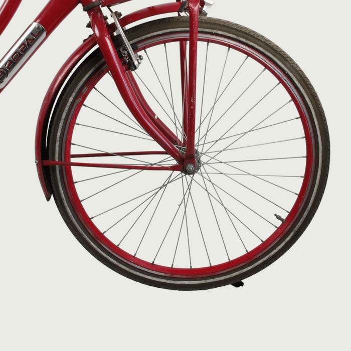 26.209 - BikeFlip