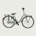 26.2110 kinderfiets - BikeFlip