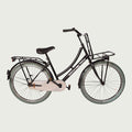 26.2171 kinderfiets - BikeFlip
