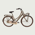 26.2233 kinderfiets - BikeFlip