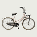 26.258 - BikeFlip