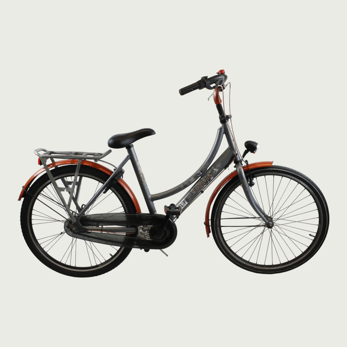 26.294 - BikeFlip