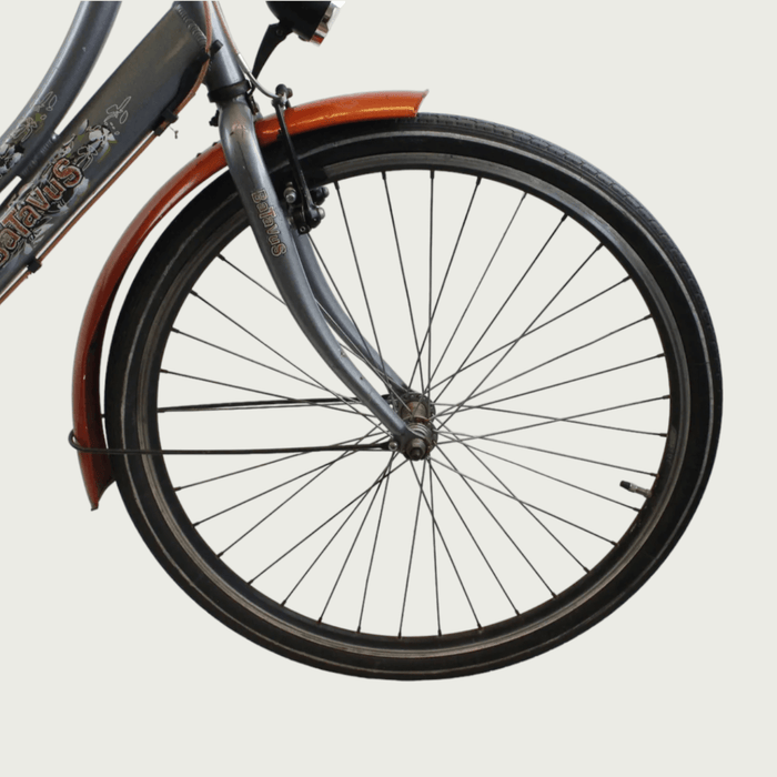 26.294 - BikeFlip