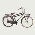 26.899 - BikeFlip