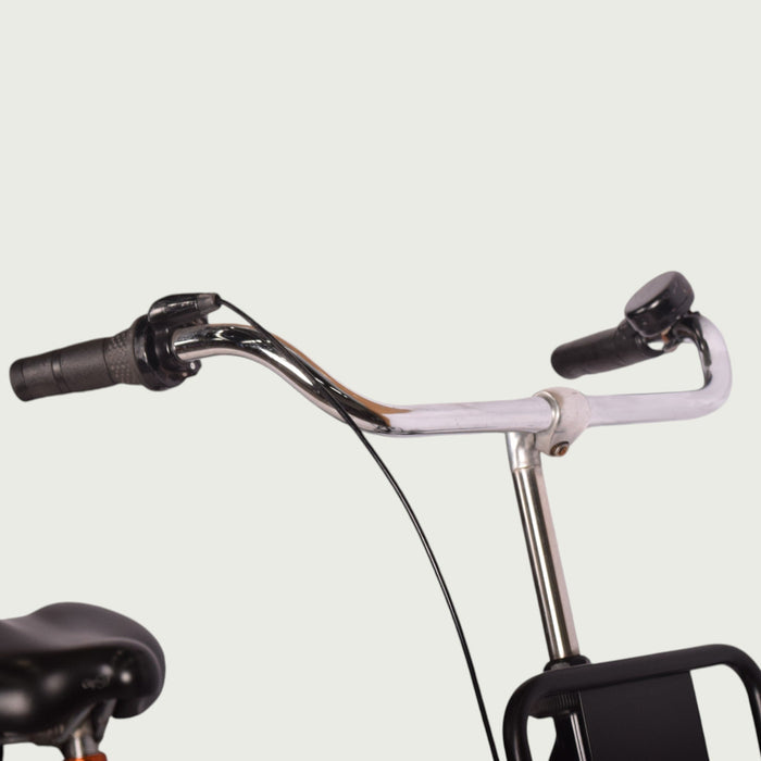 28.2447 - BikeFlip