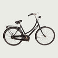 28.2547 - BikeFlip