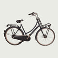28.3241 - BikeFlip