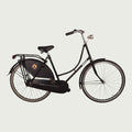 28.3252 - BikeFlip