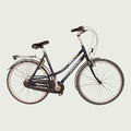 28.4386 kinderfiets - BikeFlip