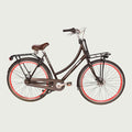 28.4509 kinderfiets - BikeFlip