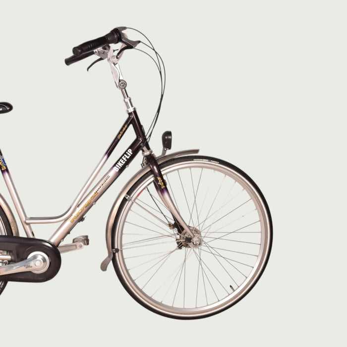 28.4650 kinderfiets - BikeFlip