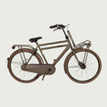28.5000 kinderfiets - BikeFlip