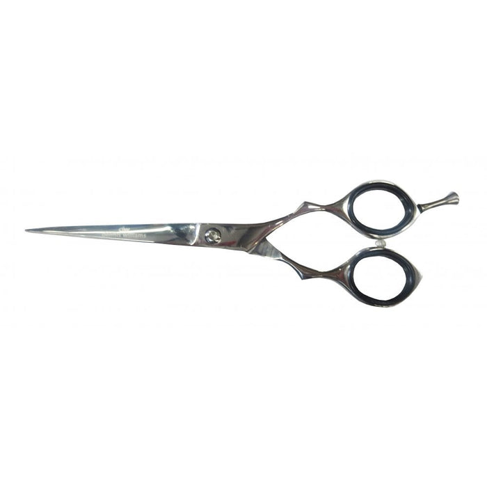 Professional Hairdressing Scissor 6 Inch